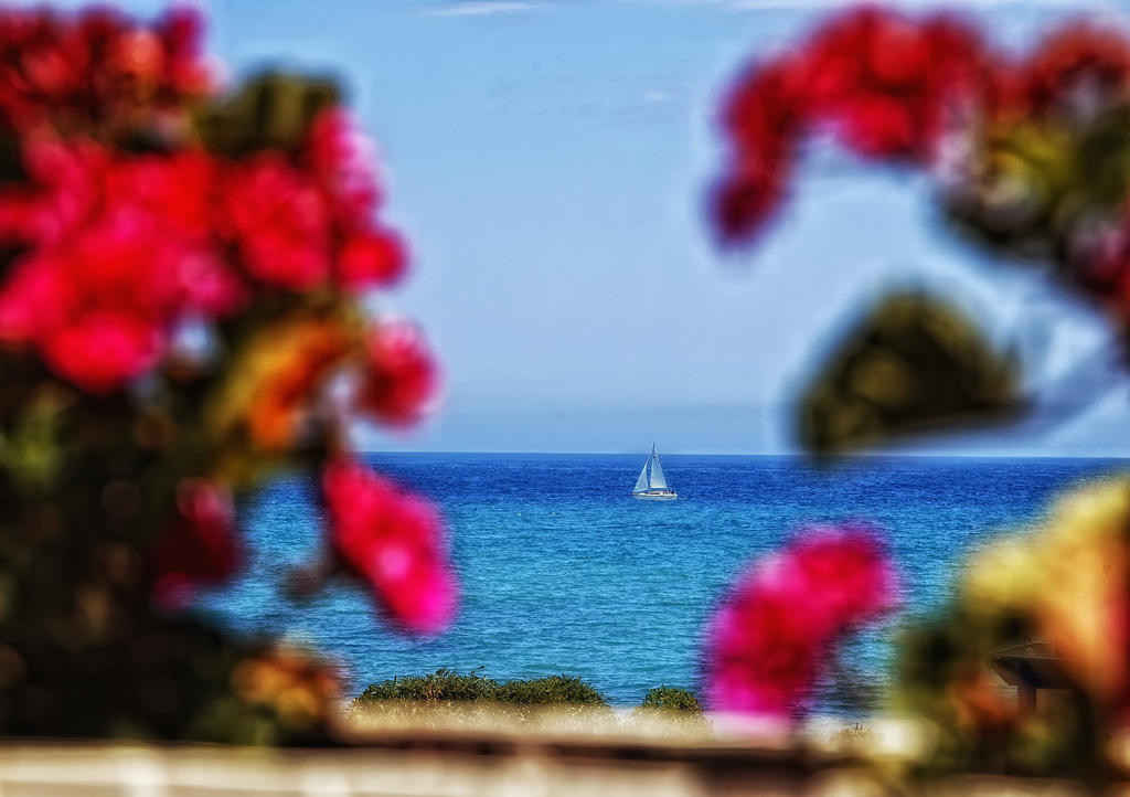 Pension Provenzal Mojácar Εξωτερικό φωτογραφία